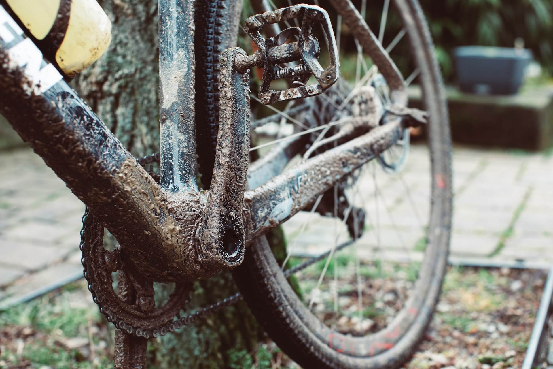 Bedste gravelcykel, carbon gravelcykel, gravelcykel test, gravelbike test, bedste gravelbike, billig gravelcykel, gravelbike dame, gravelcykel dame, herre gravelcykel, sort gravelcykel, allround gravelcykel, gravelcykel med elektronisk gear, canyon gravelcykel, specialized gravelcykel,scott gravelcykel, jensen gravelcykel, cannondale gravelcykel, grøn gravelcykel, tubeless gravelcykel, 2023, allround cykel, med wattmåler, 11 speed, bikepacking cykel, cykel til at cykle verden rundt, cykel i skoven, cykel i naturen, cross cykel, crossbike